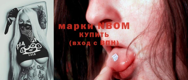 индика Аркадак
