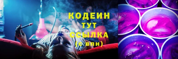 молекула духа Арсеньев