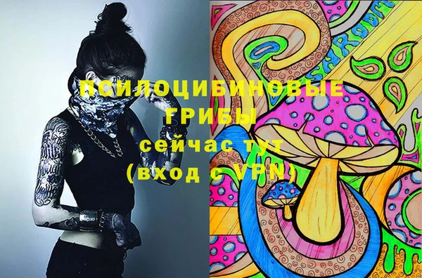 индика Аркадак