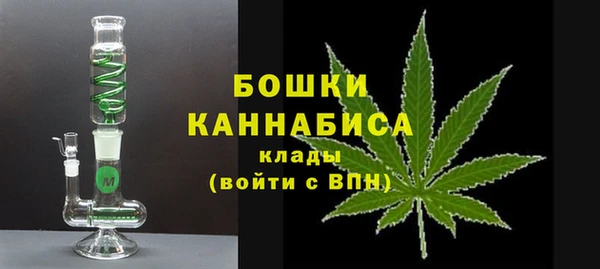 индика Аркадак