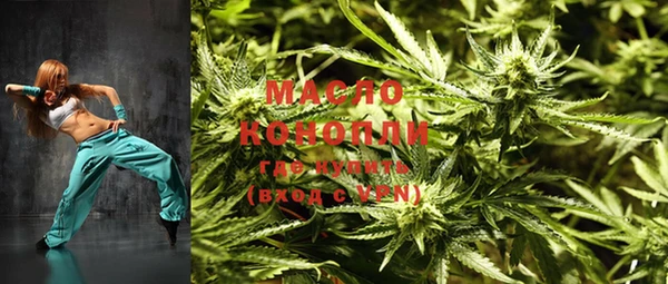 индика Аркадак
