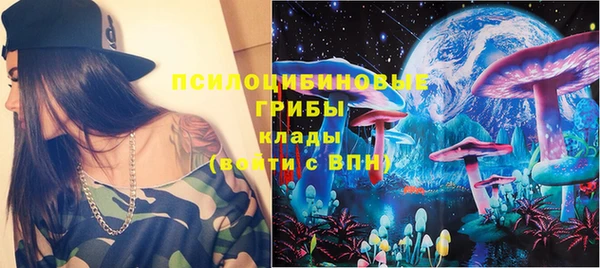 индика Аркадак