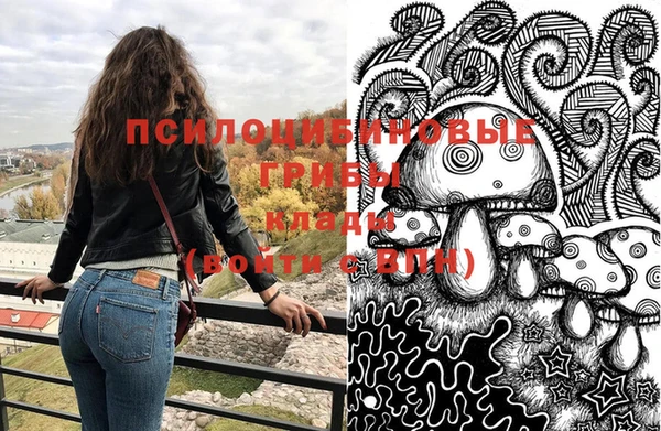 шишки Алексеевка
