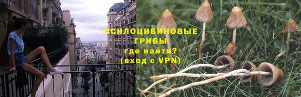 шишки Алексеевка