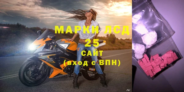индика Аркадак