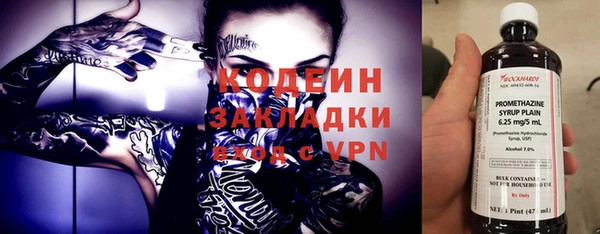 молекула духа Арсеньев