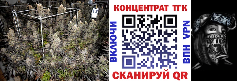 OMG ссылка  купить наркотики цена  Бабаево  ТГК жижа 
