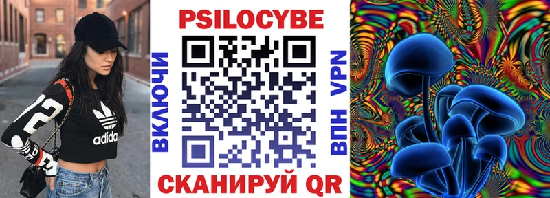 купить наркотики цена  блэк спрут ссылки  Псилоцибиновые грибы Psilocybine cubensis  Бабаево 