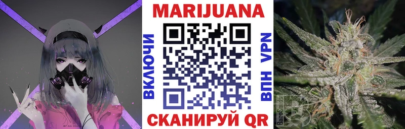 где найти   Бабаево  Каннабис индика 